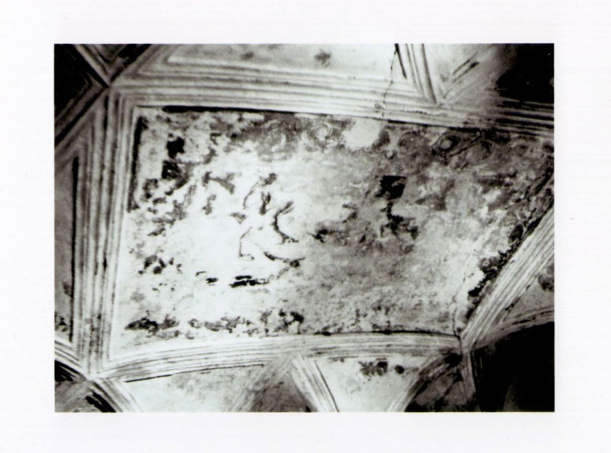 B&B La Rosa D'Oro Genova Kültér fotó